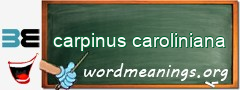 WordMeaning blackboard for carpinus caroliniana